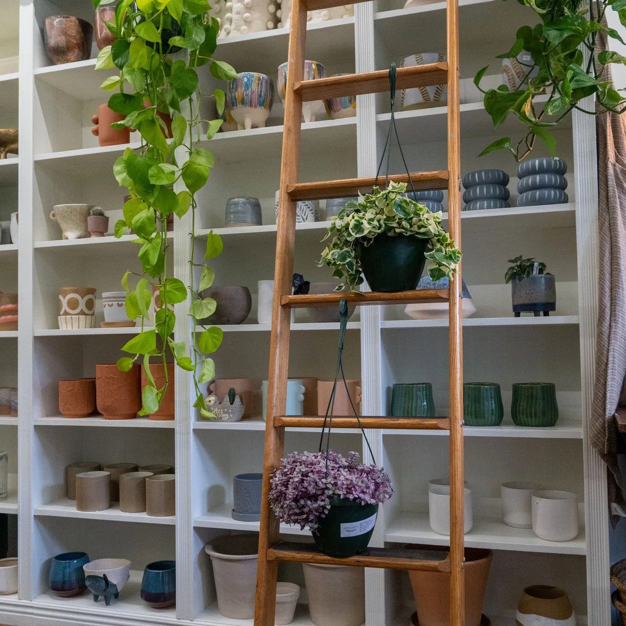 A pottery shop with ceramic pieces, timber shelves and green plants.