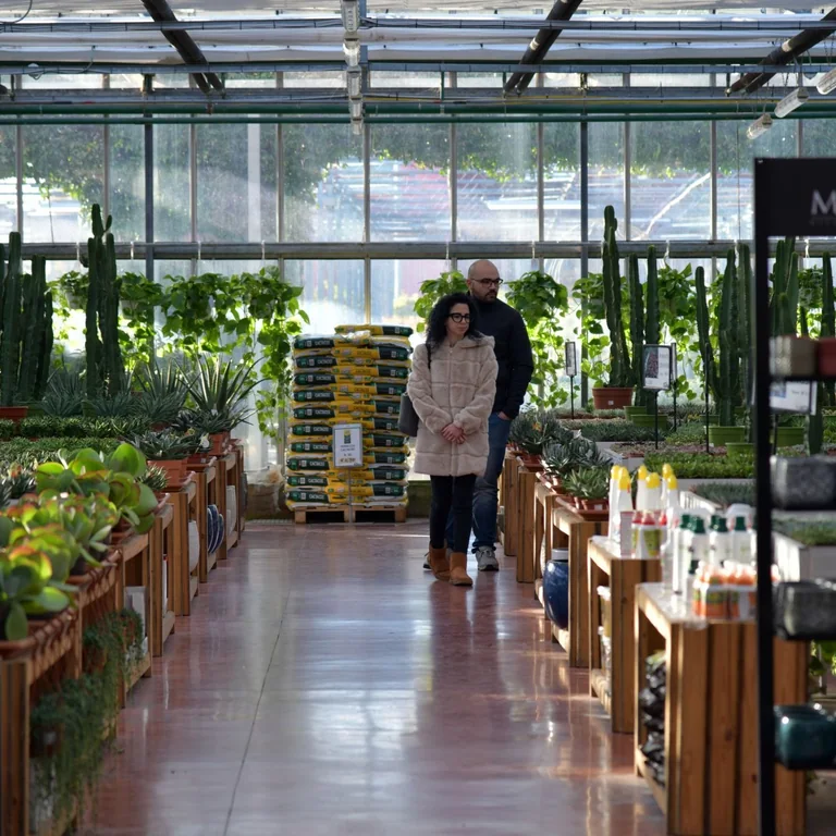 A vibrant indoor garden center with a variety of plants and two customers shopping.