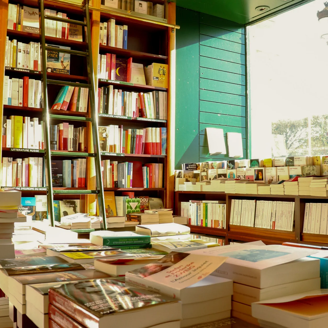 Sunlit Paris bookstore interior showcasing rows of books with a wooden ladder for easy access.