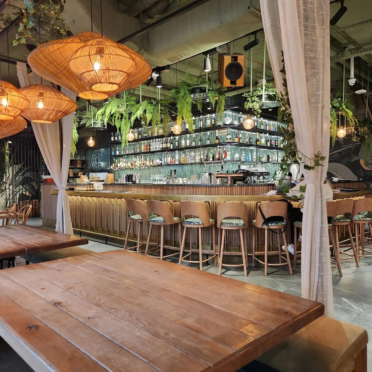 A warmly lit restaurant bar with natural timber, woven pendant lights and green plants.