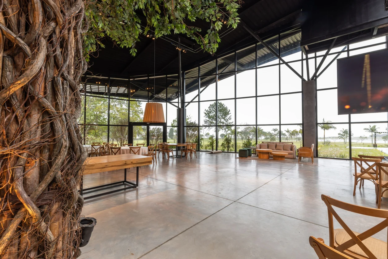 An open restaurant interior with floor-to-ceiling windows, timber furniture and a large indoor tree.